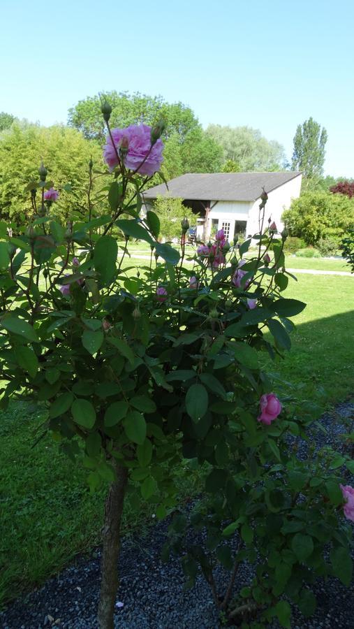Moulin De Reigner Bed & Breakfast Anche  Exterior photo